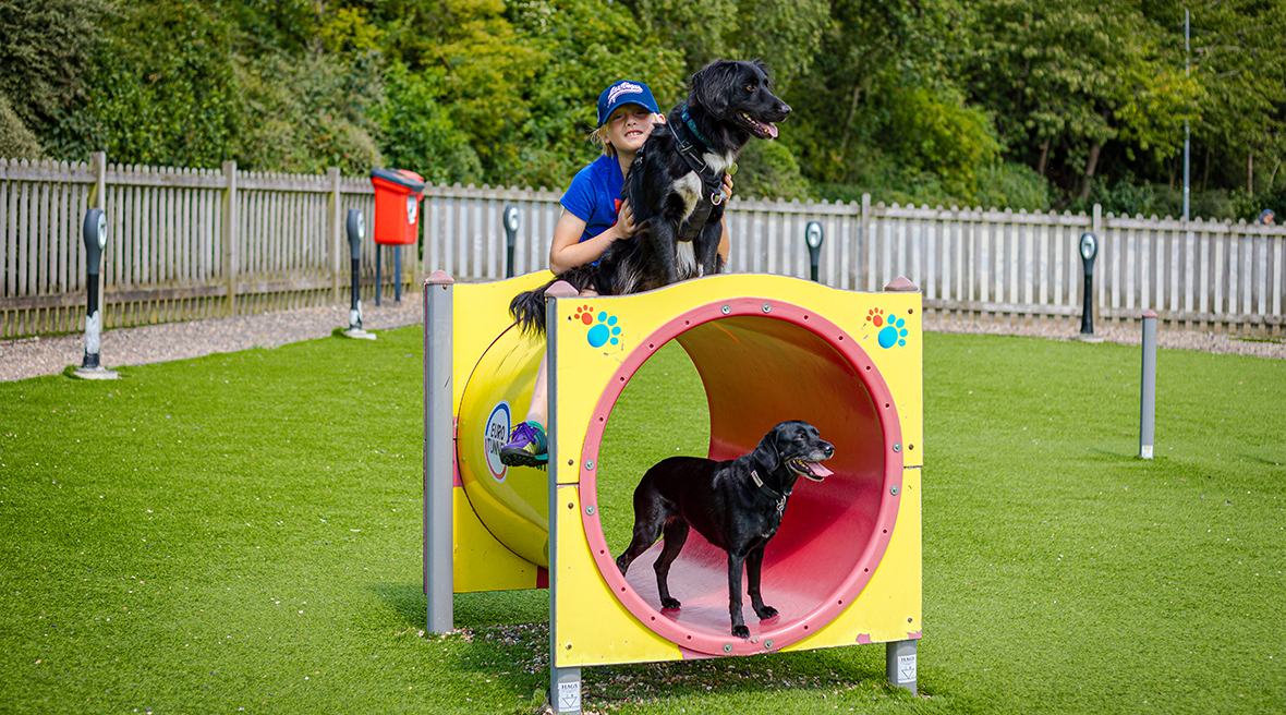 Yellow and red tube in a grass fenced area with two black dogs and a little boy